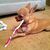 Dental chihuahua chewing on toothbrush.jpg
