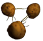 PotatoSciencePortal.jpg