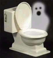 Haunted toilet.JPG
