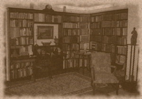 Aitd Library background.png