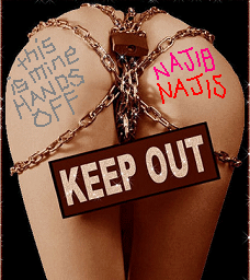File:Najisproperty.png