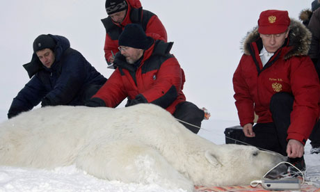 Putin polar bear.jpg