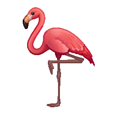 File:SunsettedFlamingoSigR.gif