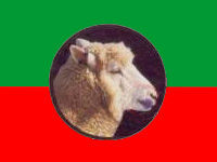 Welsh flag01.jpg