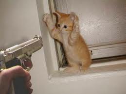 File:Kittythreat.jpg