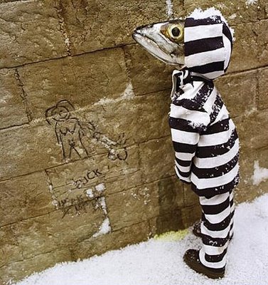 File:Turtur.jpg