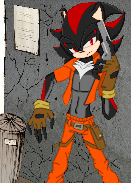 Shadow the edgehog, Shadow The Hedgehog