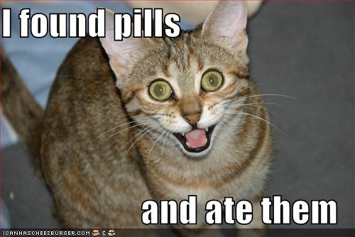 Pillcat.jpg