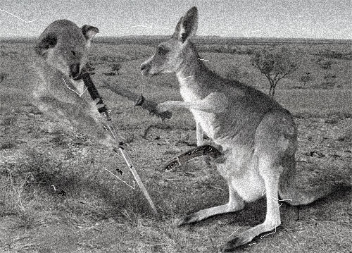 Skippy The Bush Kangaroo - Uncyclopedia, The Content-free Encyclopedia