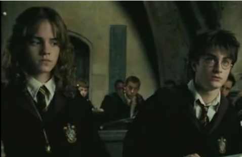 File:Hermione harry.png