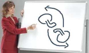 File:Pasketmaul tactics Chicken Wing.jpg