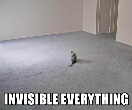 Invisibleeverythinglolcat.jpg