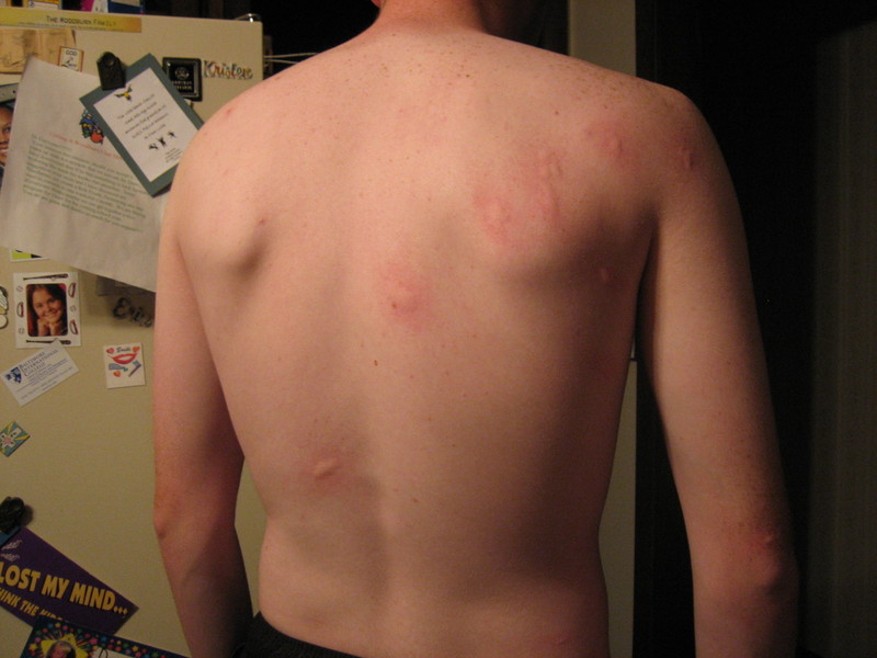 File:IMG 2598.jpg