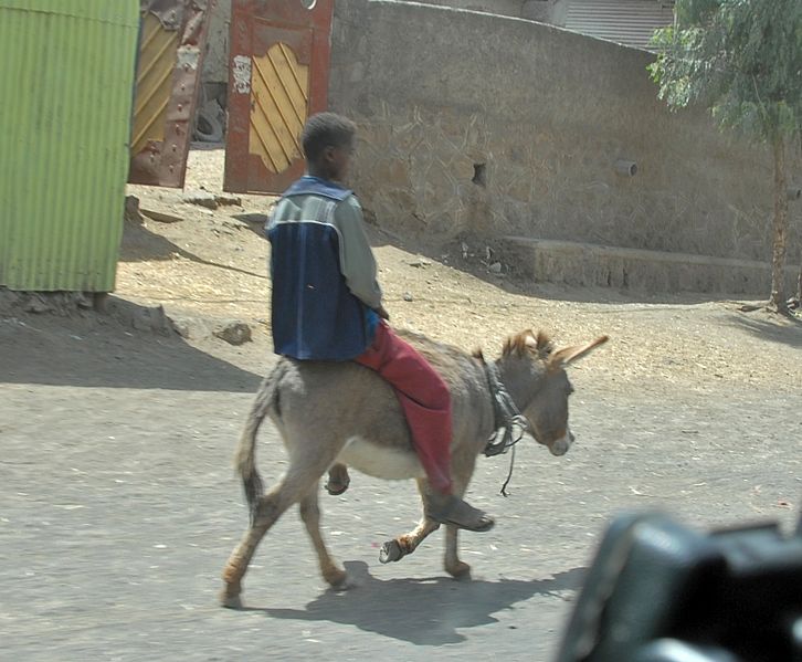 File:Debre Zeyit - Flickr - Dave Proffer (2).jpg