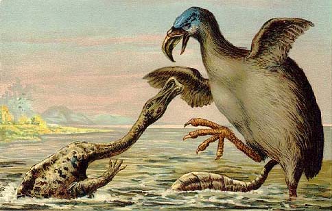 File:Brontornis VS. Hadrosaur.jpg