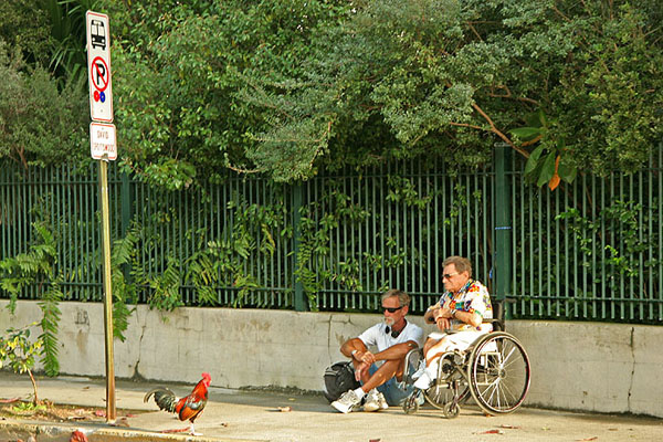 File:Social engineering.jpg