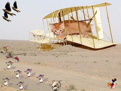 Kittyhawk.jpg