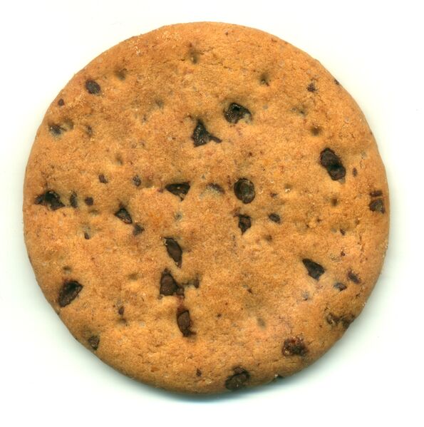 File:Foodbiscuit00062g.jpg