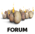 Forum torches3.png