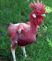 Chicken1.PNG