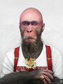 Nazi skinhead baboon.jpg