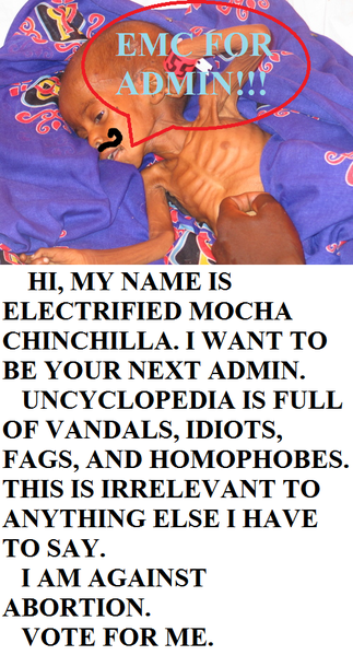 File:Campaign pic3.png