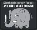Elephants-never-forgive-snorg.gif