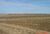 Fields.jpg