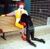 Blowing ronald mcdonald 1.jpg