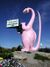 Pink dino.jpg