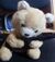 Muhammad bear.jpg
