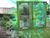 TheGreenGlassDoor.jpg