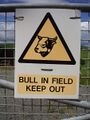 Warning sign - bull in field - keep out.jpg