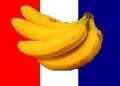 FrenchGuianaFlag.jpg