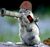 Squirrel RL.jpg
