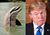 TrumpFlipper1.jpg