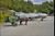 FA150Donkey.jpg
