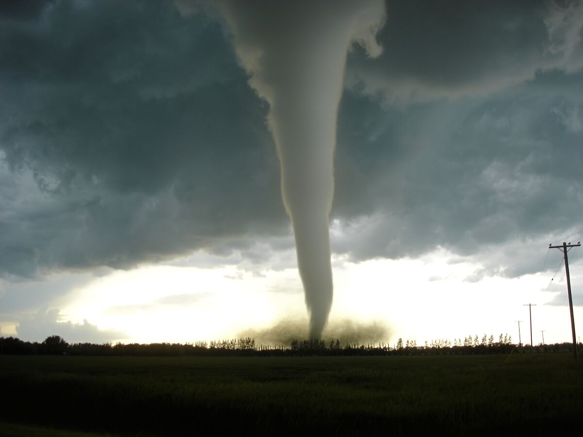 Twister (disambiguation) - Uncyclopedia, the content-free encyclopedia