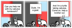 Turtle-and-goat-58.png
