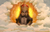 Monty python god animation talking .png
