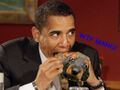 Obama eats dog.jpg