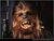 Chewbacca.lg-1-.jpg