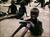 Sudan1 470x350.jpg