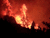 Accident.gif