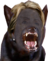 Hilary.png