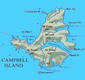 Campbell Island.jpg