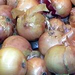 Onions.jpg