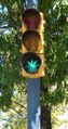 Marijuana traffic lights.jpg