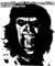 ZombieMisprints.png
