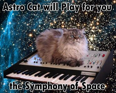 Astrocat.jpg